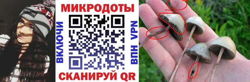 Галлюциногенные грибы GOLDEN TEACHER  Майский 